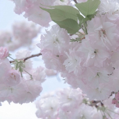 兽设节日场景创作Furry群